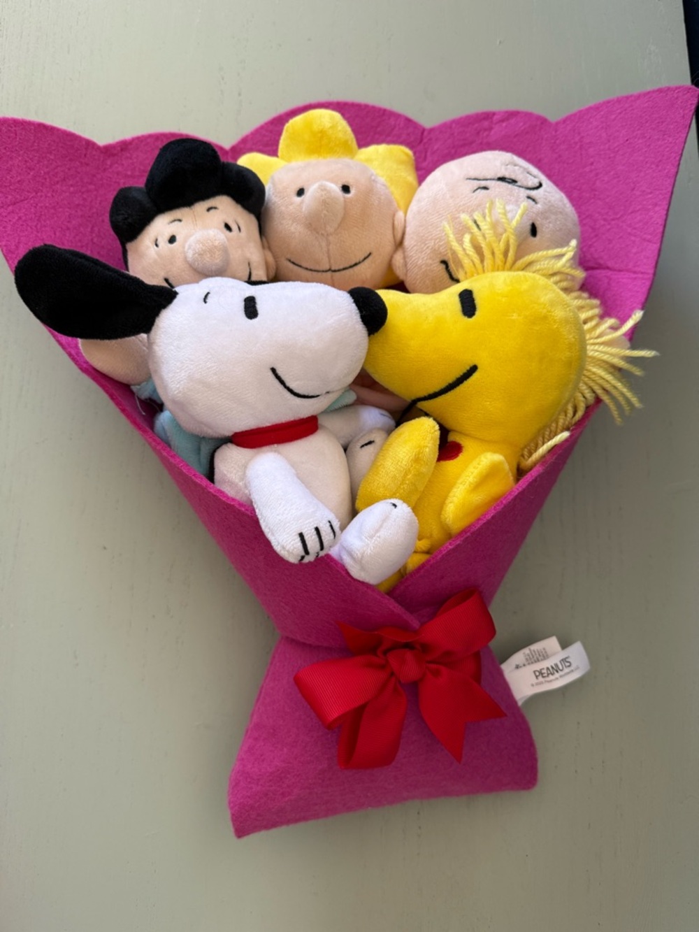 PEANUTS Snoopy Woodstock Charlie Brown Lucy 16" Valentine's Plush Bouquet 2025